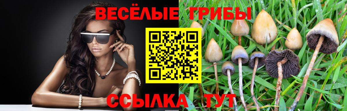 Карталы  Псилоцибиновые грибы мицелий  Псилоцибиновые грибы Psilocybe  Вход с VPN 